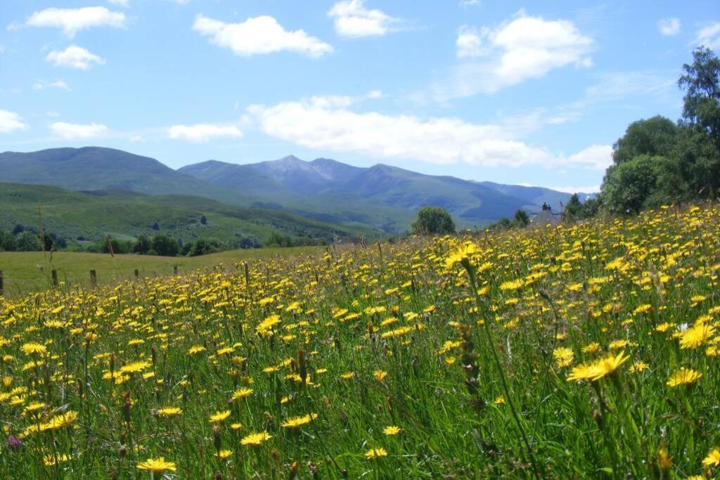 Glas Doire Lodge, Glen Roy Nature Reserve Roybridge Luaran gambar